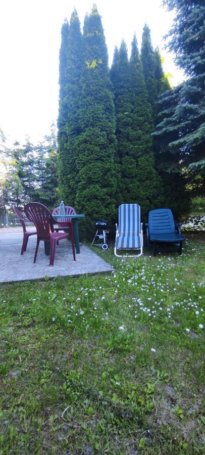 Apartamenty Z Ogrodem Nr 1 Studio Mrągowo Kültér fotó